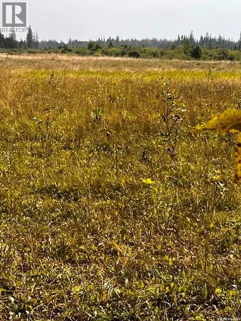 Fries Pasture