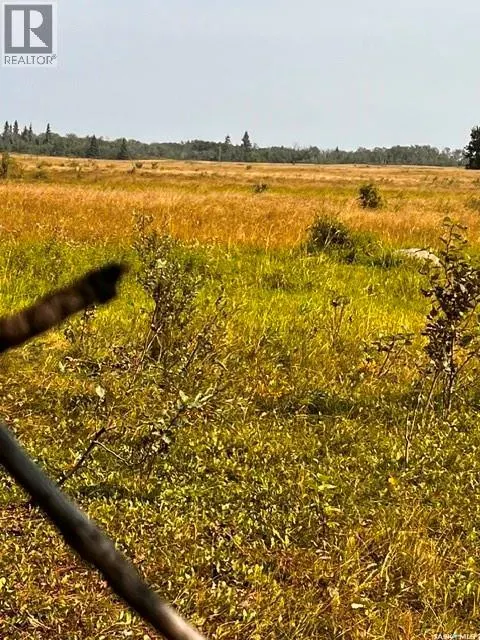 Fries Pasture