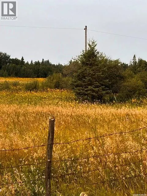Fries Pasture