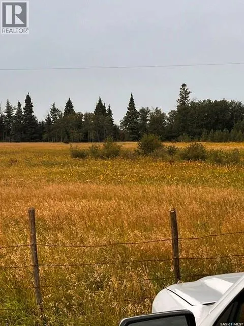 Fries Pasture
