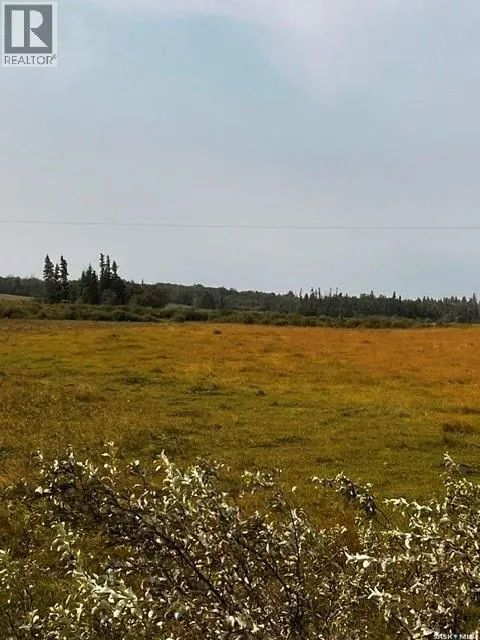 Fries Pasture