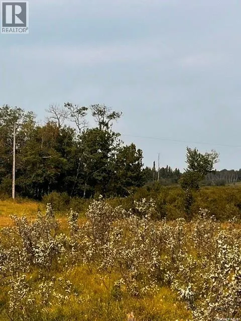 Fries Pasture