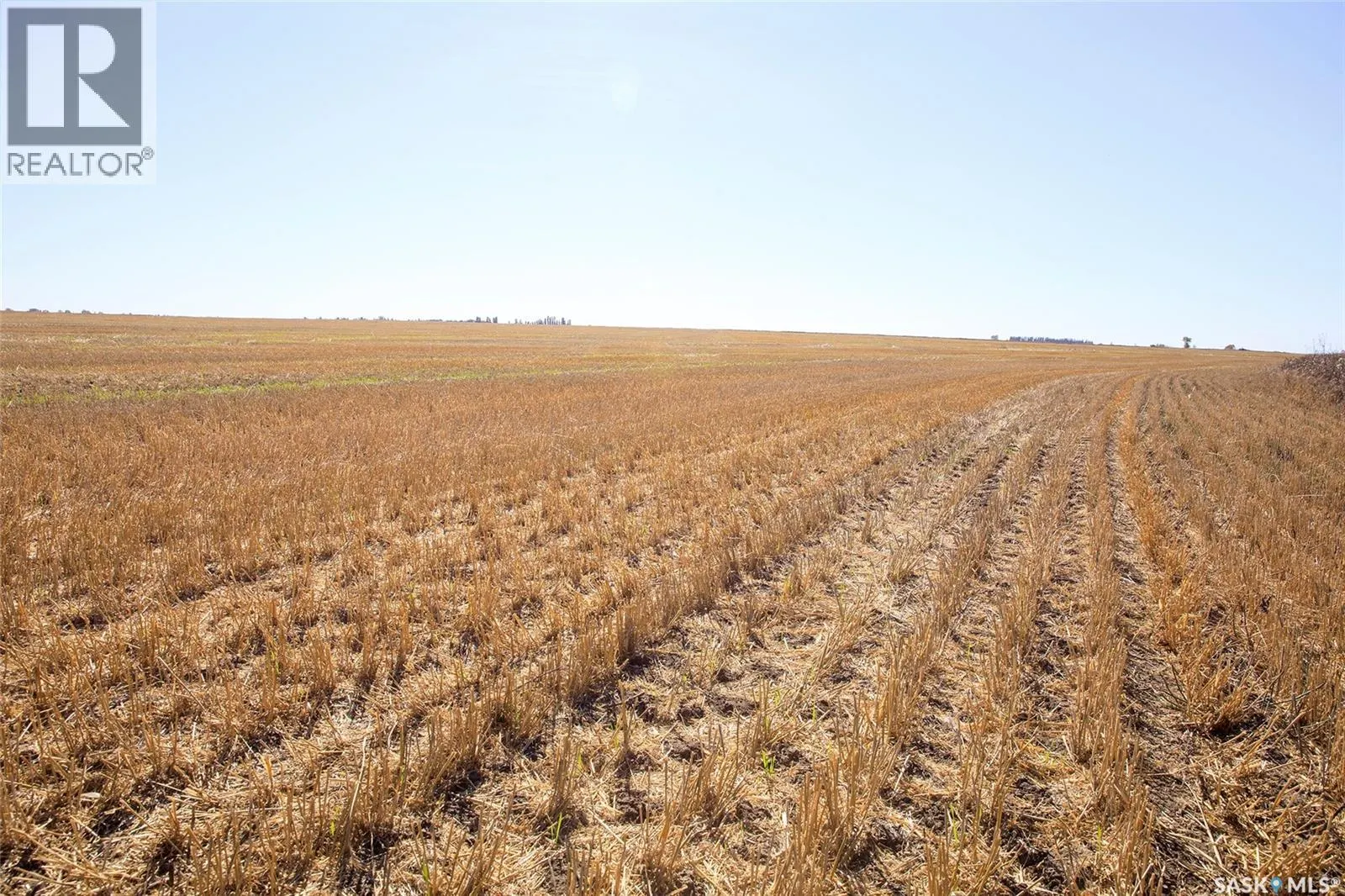 Outlook 258 Acres