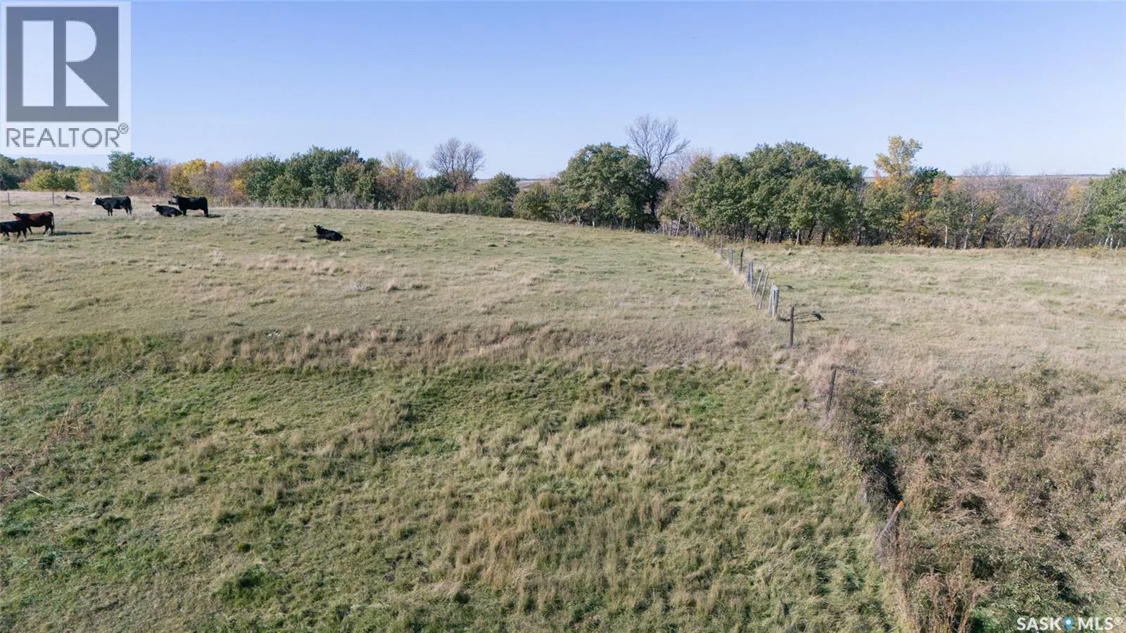 Outlook 258 Acres