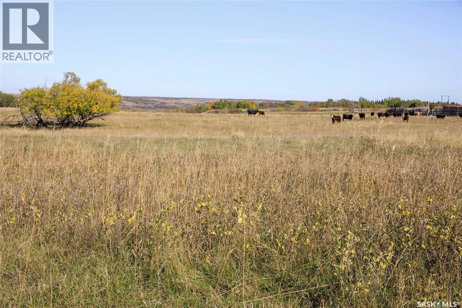 Outlook 258 Acres