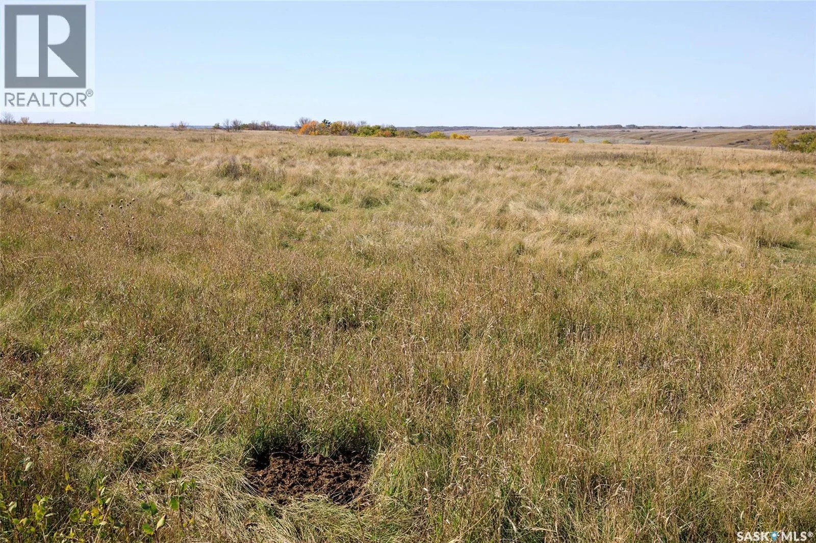 Outlook 258 Acres