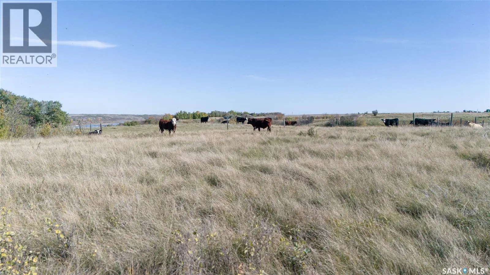 Outlook 258 Acres