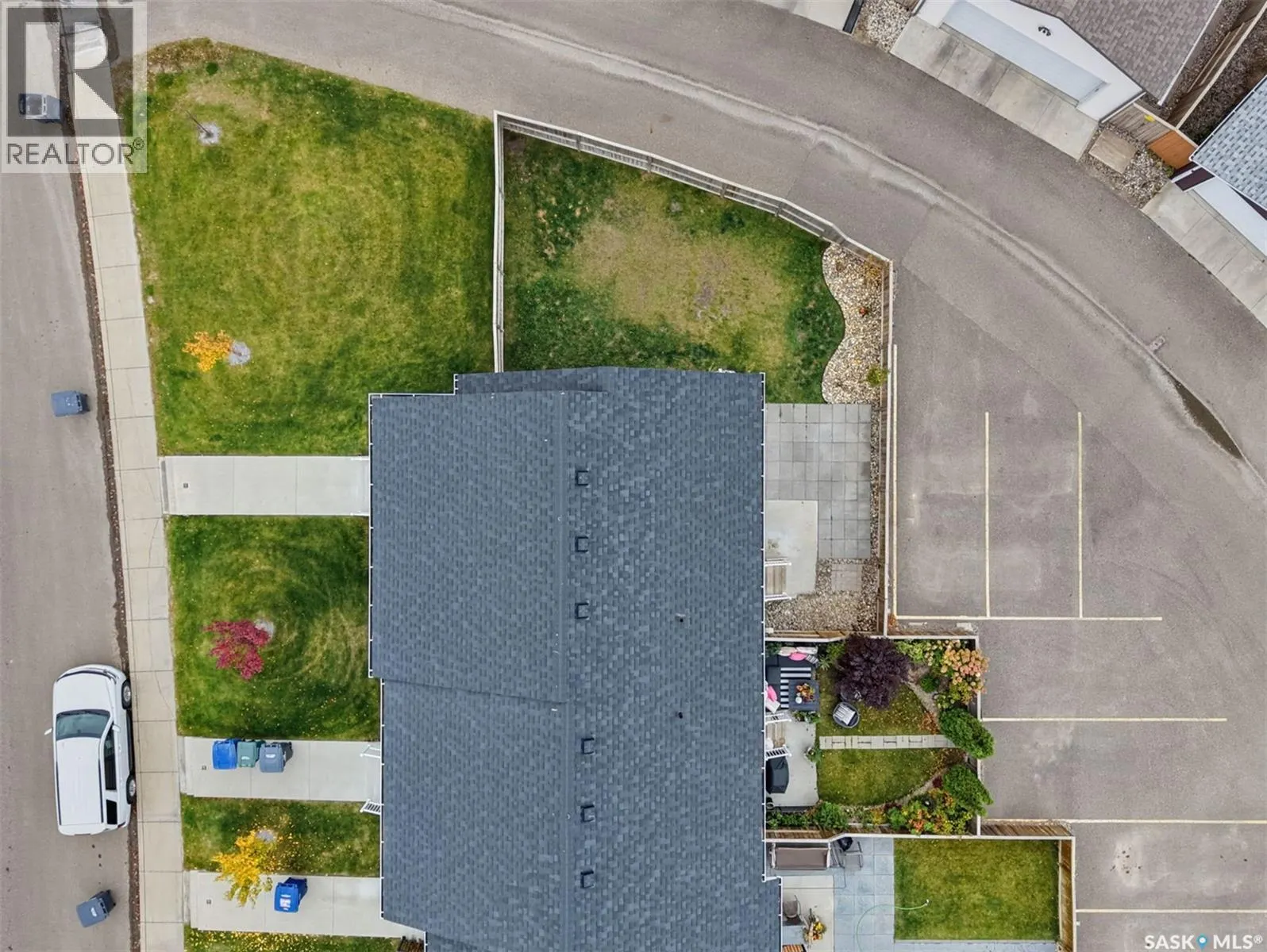2022 Brighton COMMON