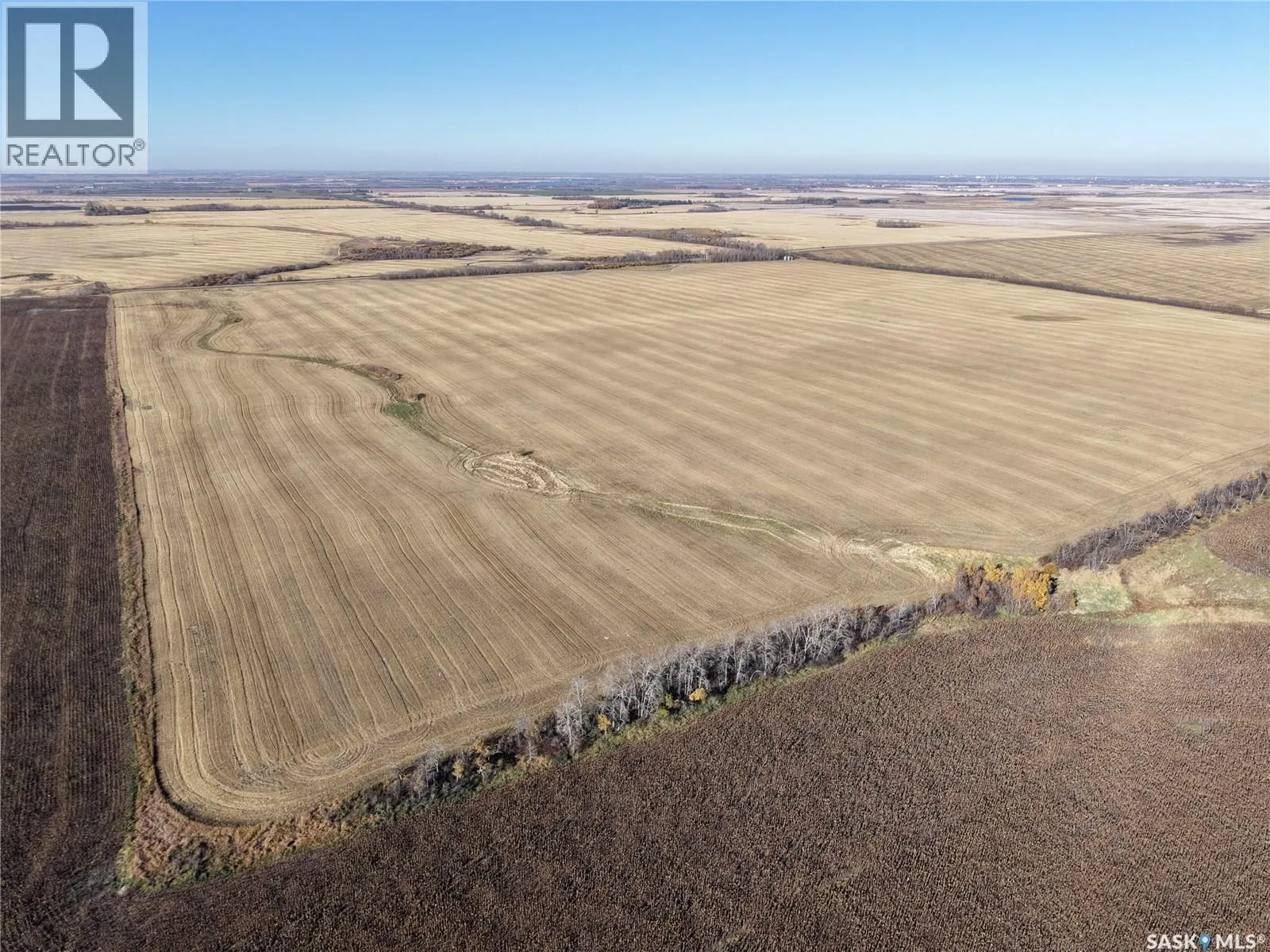 1 Premium Quarter of Grainland Near Yorkton