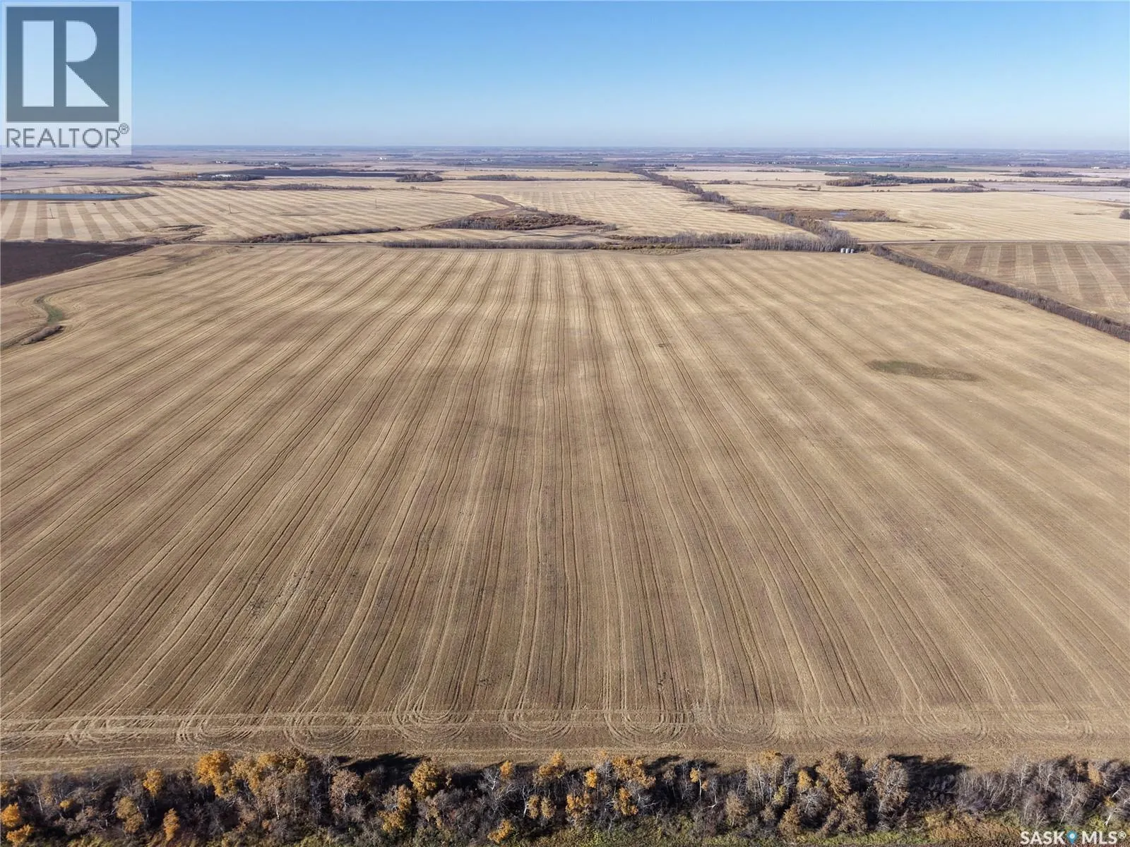 1 Premium Quarter of Grainland Near Yorkton