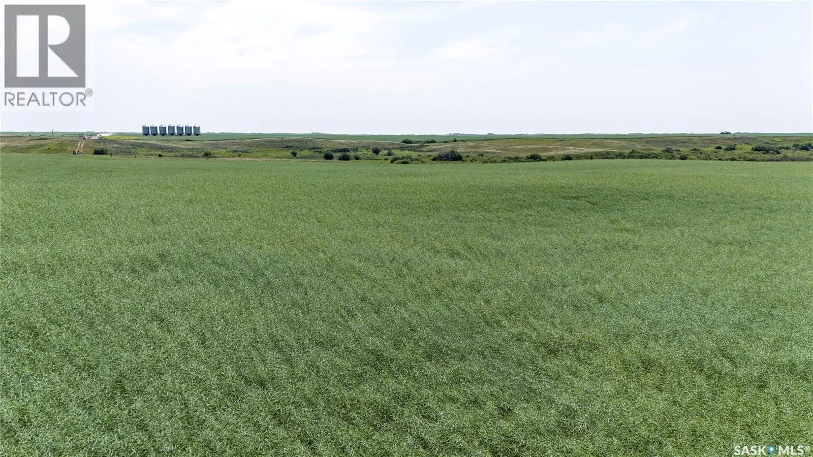 4.8 Quarters of Grainland Near Dilke, SK (Flavel)