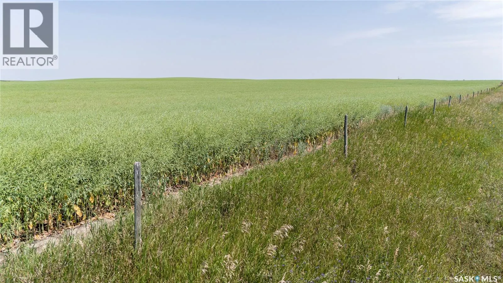 4.8 Quarters of Grainland Near Dilke, SK (Flavel)