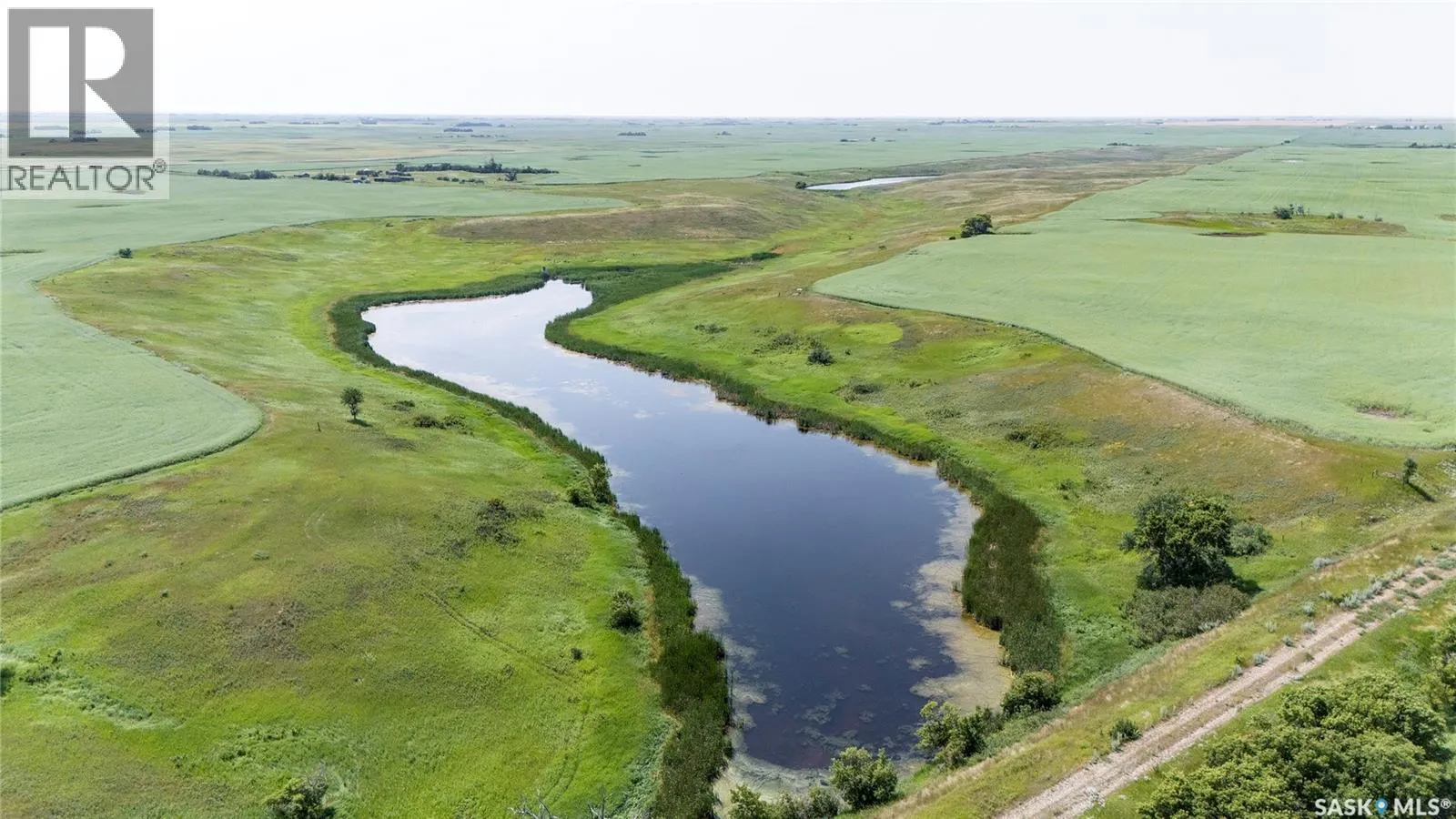 4.8 Quarters of Grainland Near Dilke, SK (Flavel)