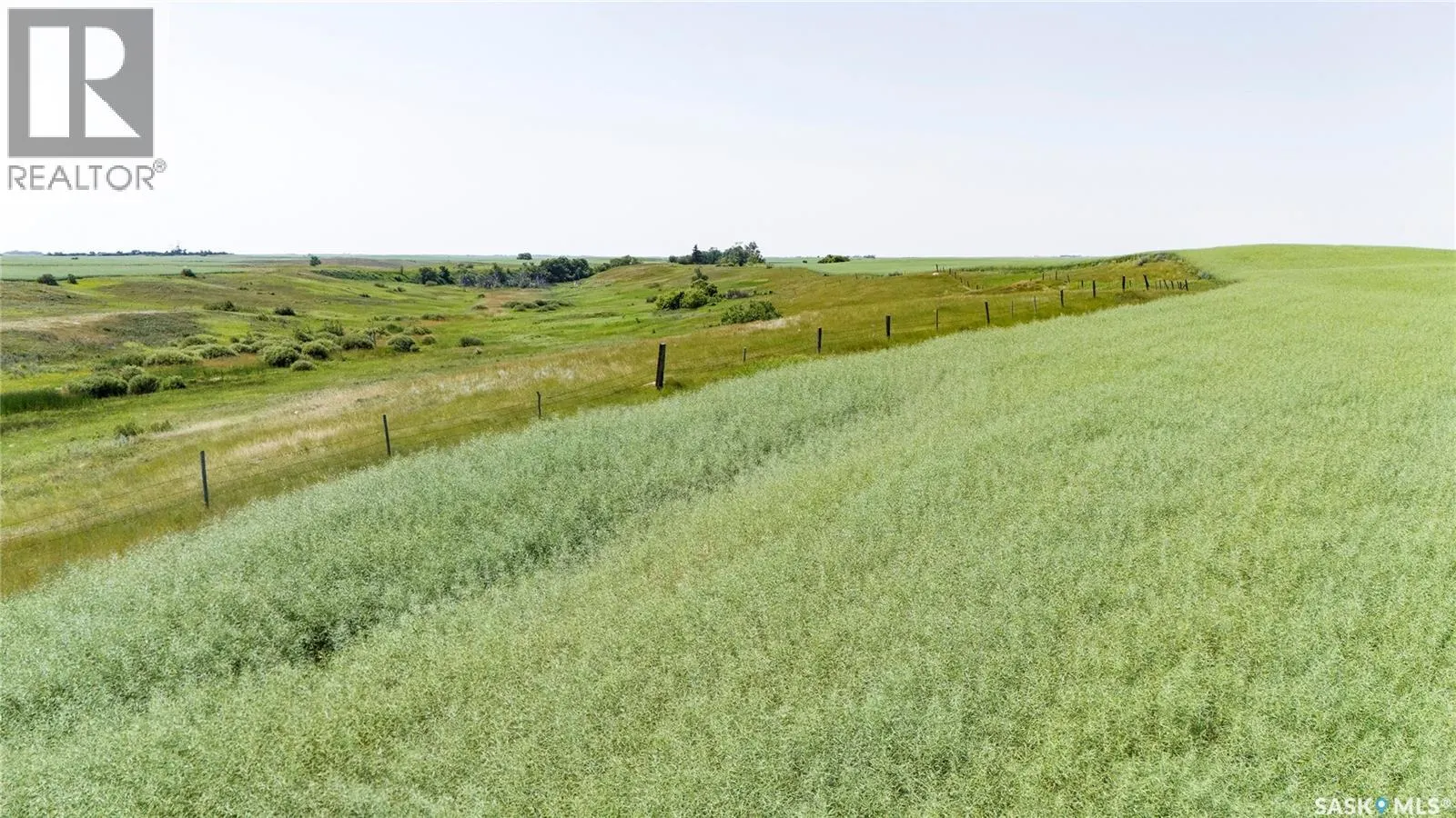 4.8 Quarters of Grainland Near Dilke, SK (Flavel)