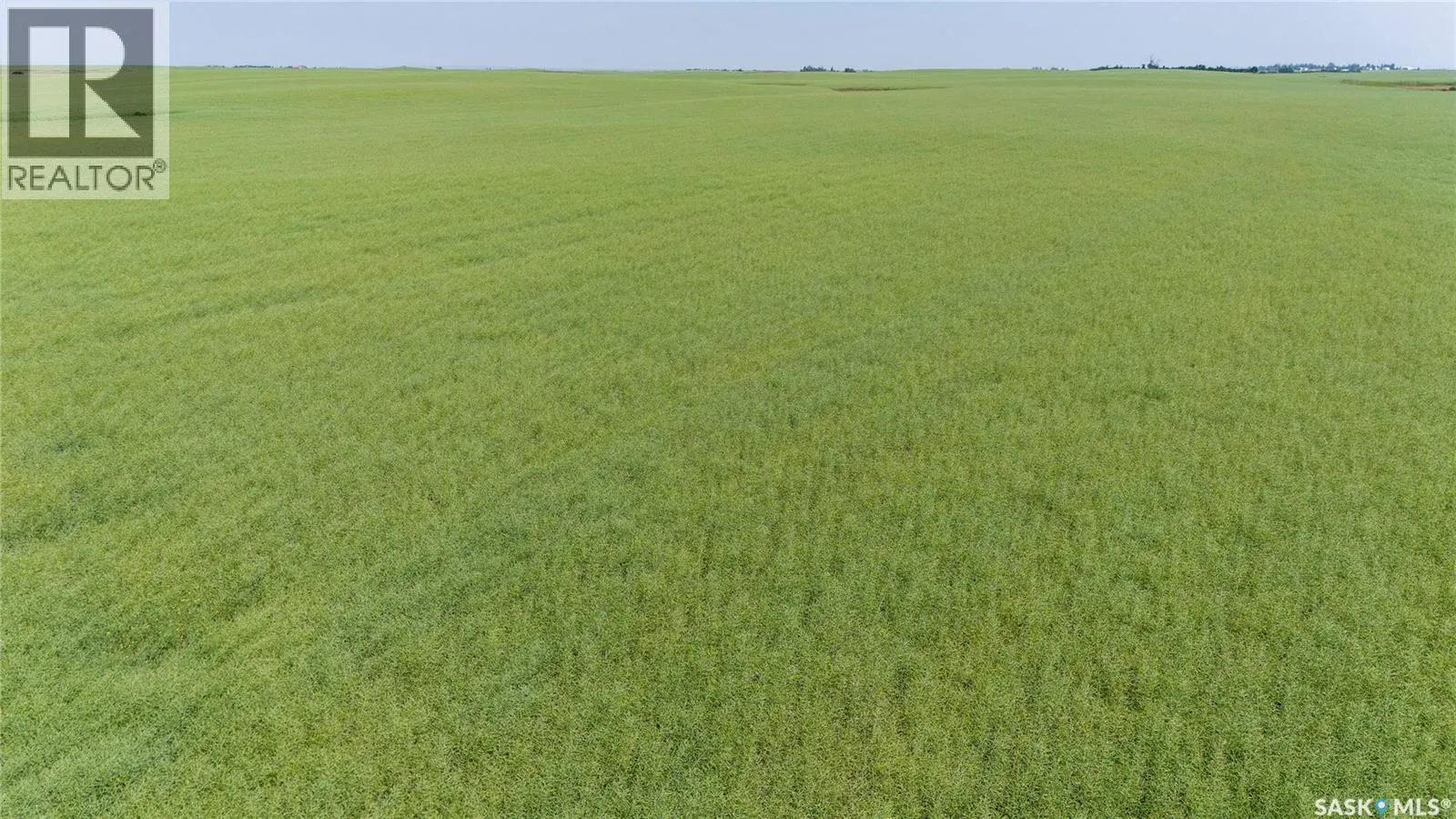 4.8 Quarters of Grainland Near Dilke, SK (Flavel)