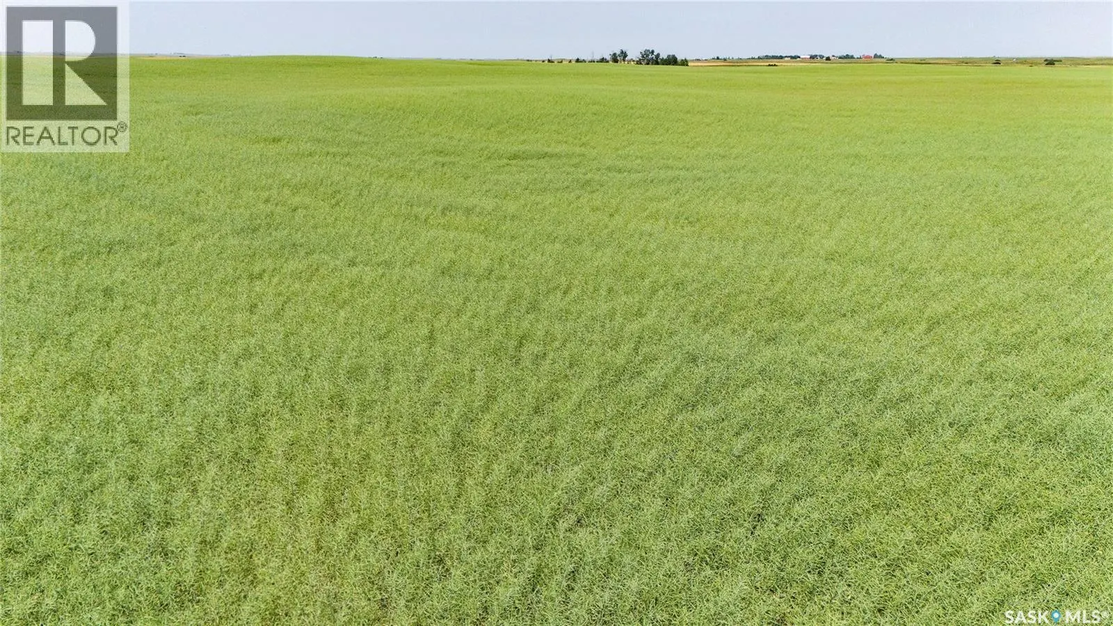 4.8 Quarters of Grainland Near Dilke, SK (Flavel)