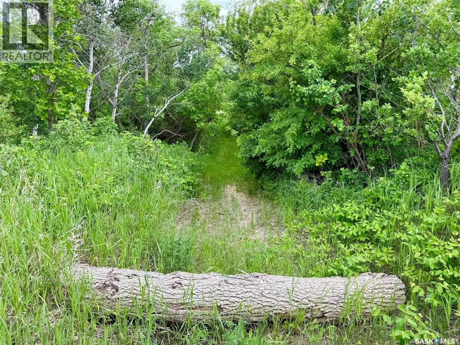 209 Wahgooch ROAD