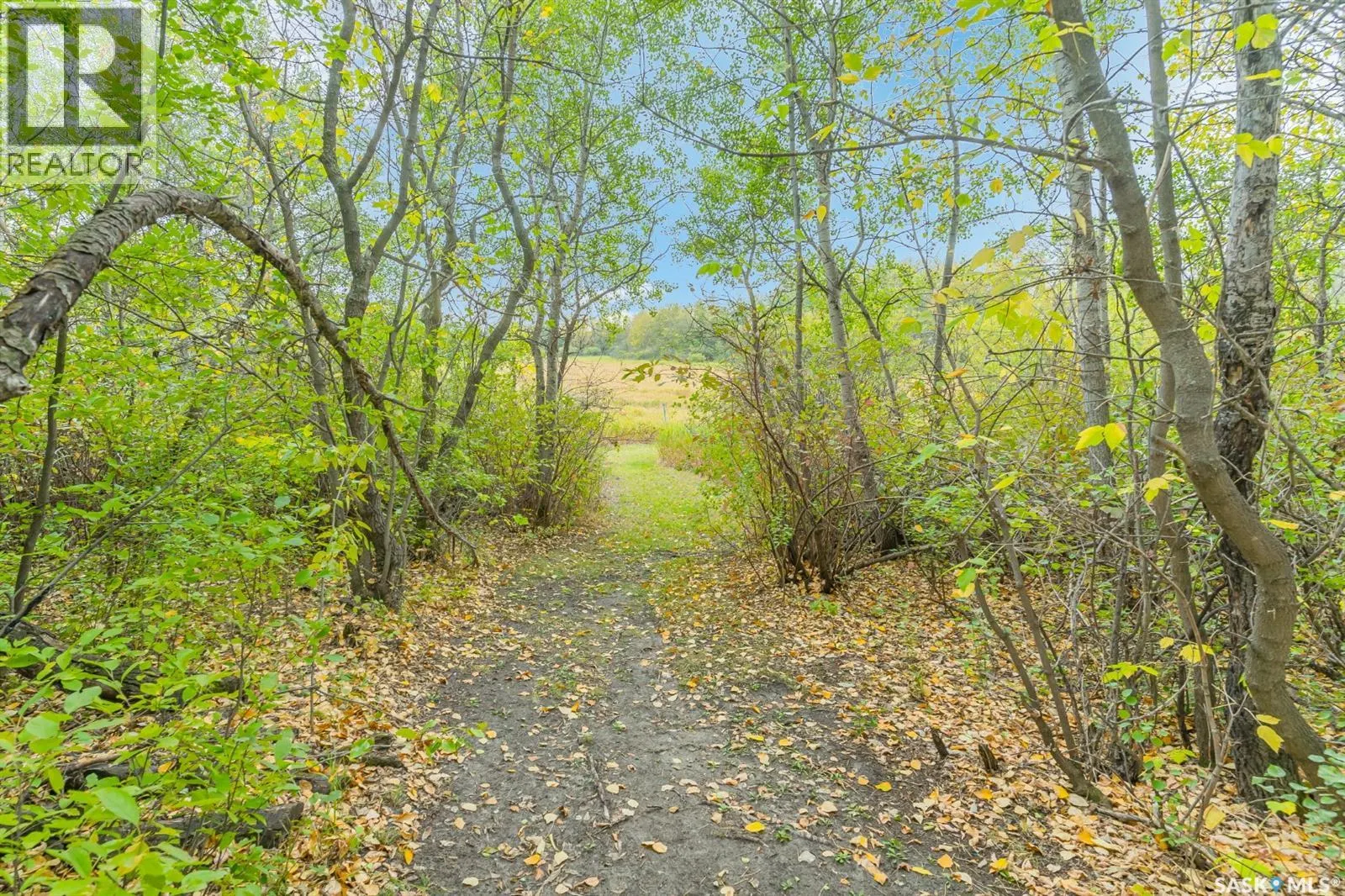 4.25 Acre Gruenthal Private Estate