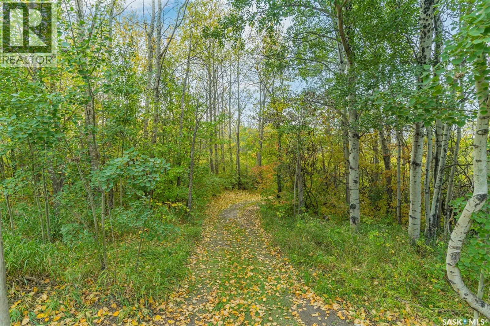 4.25 Acre Gruenthal Private Estate