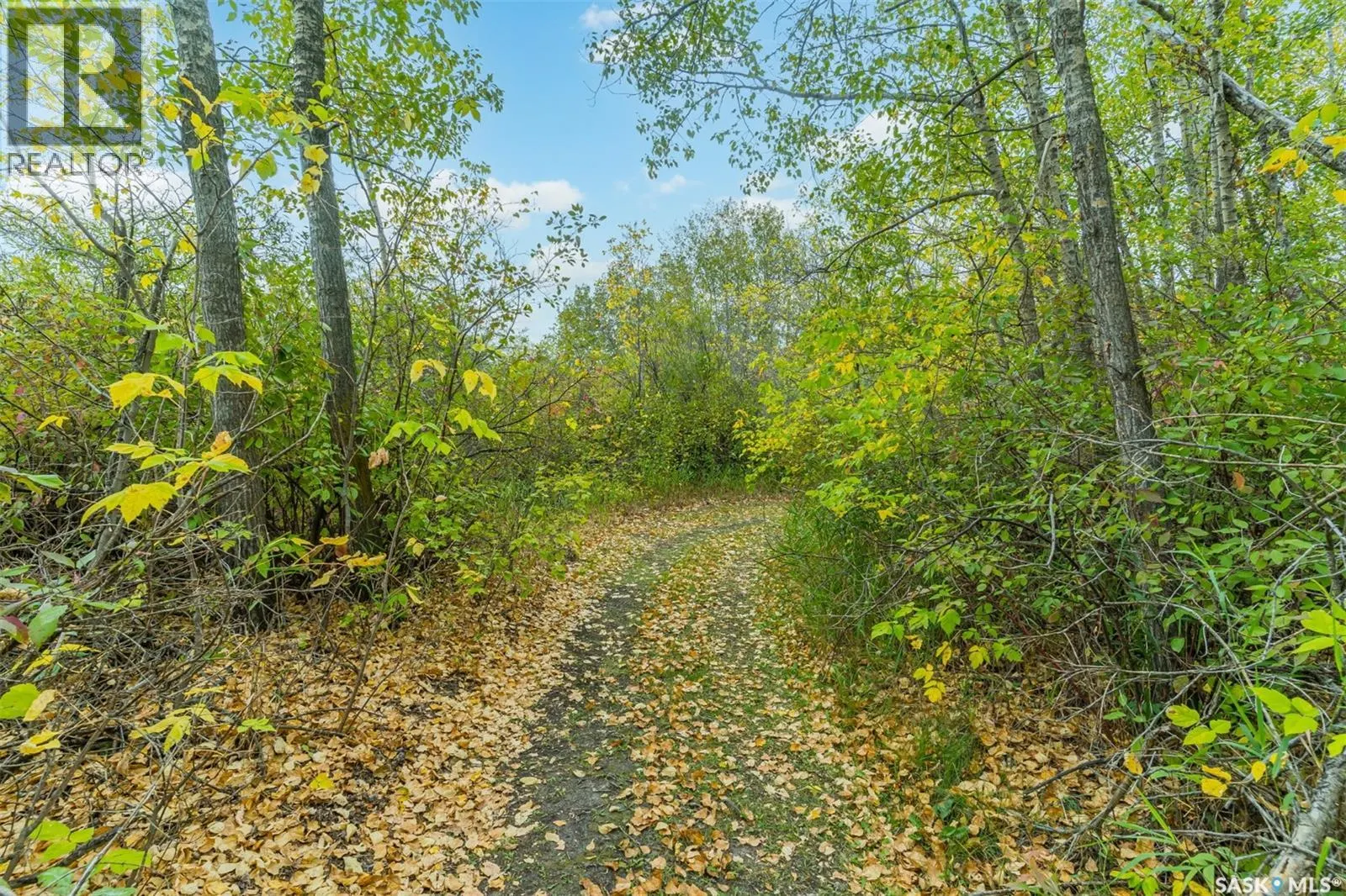 4.25 Acre Gruenthal Private Estate