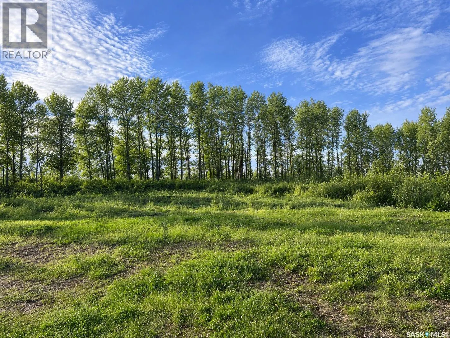 BRIAR LEA ACREAGE