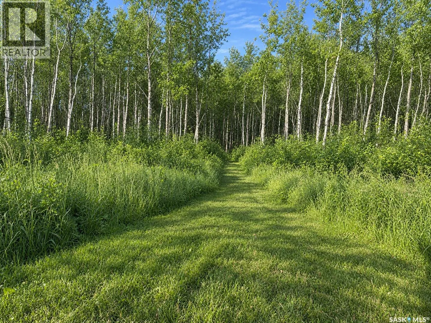 BRIAR LEA ACREAGE