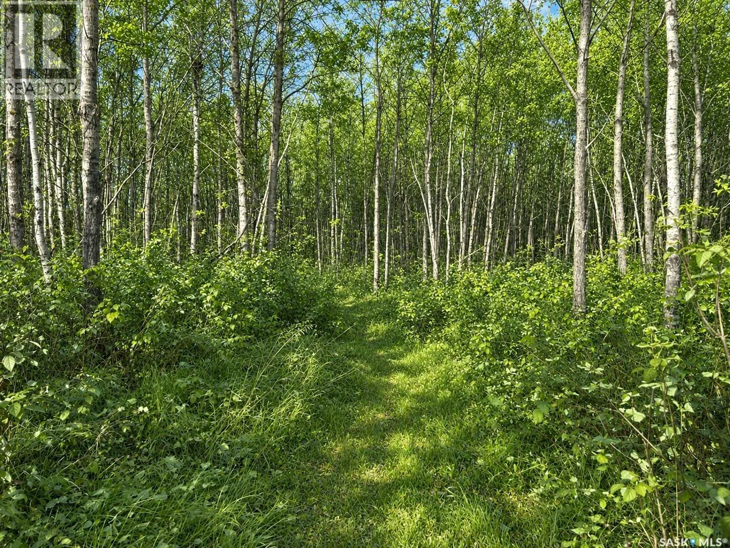 BRIAR LEA ACREAGE