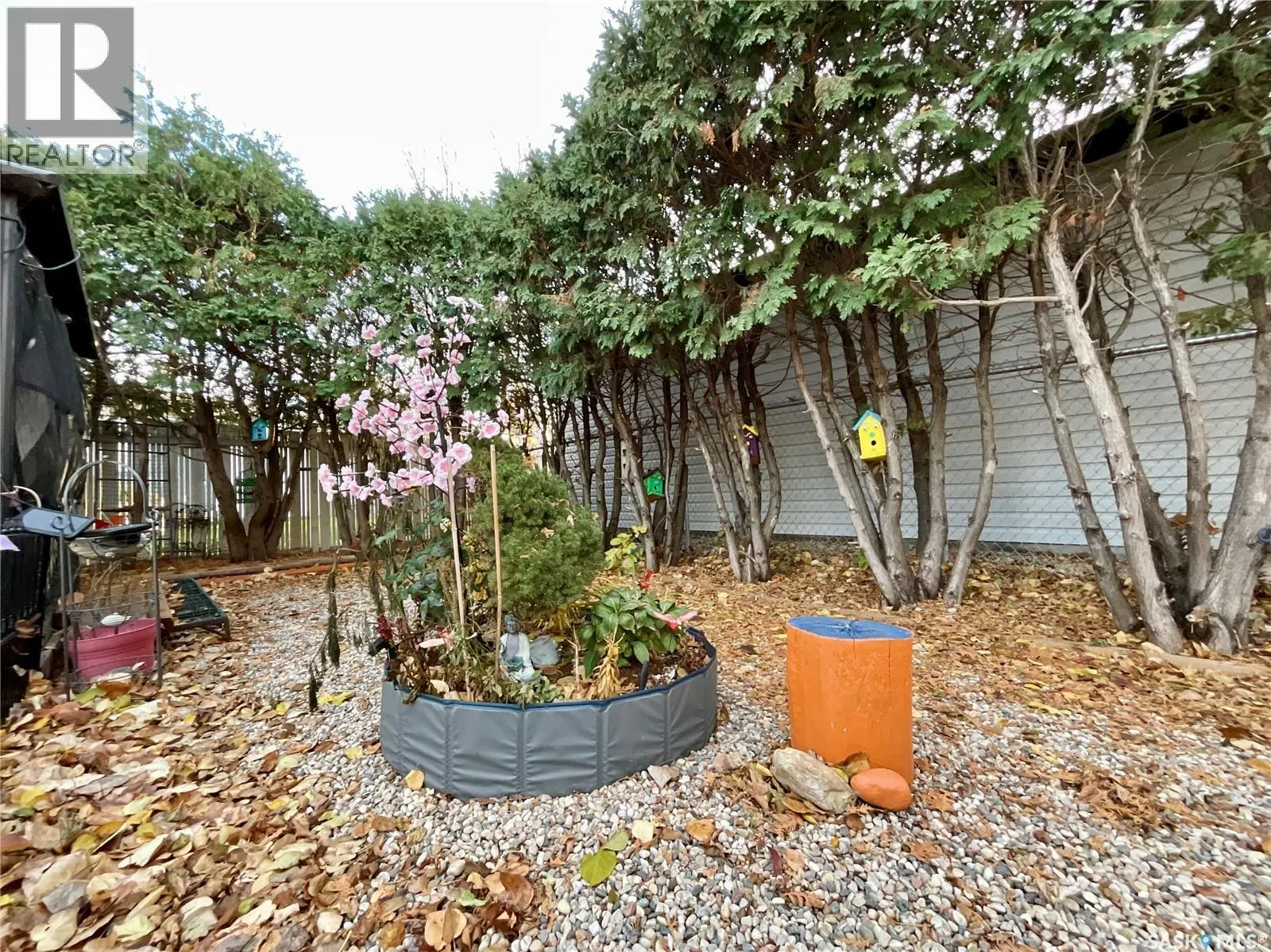 79 CAMERON CRESCENT