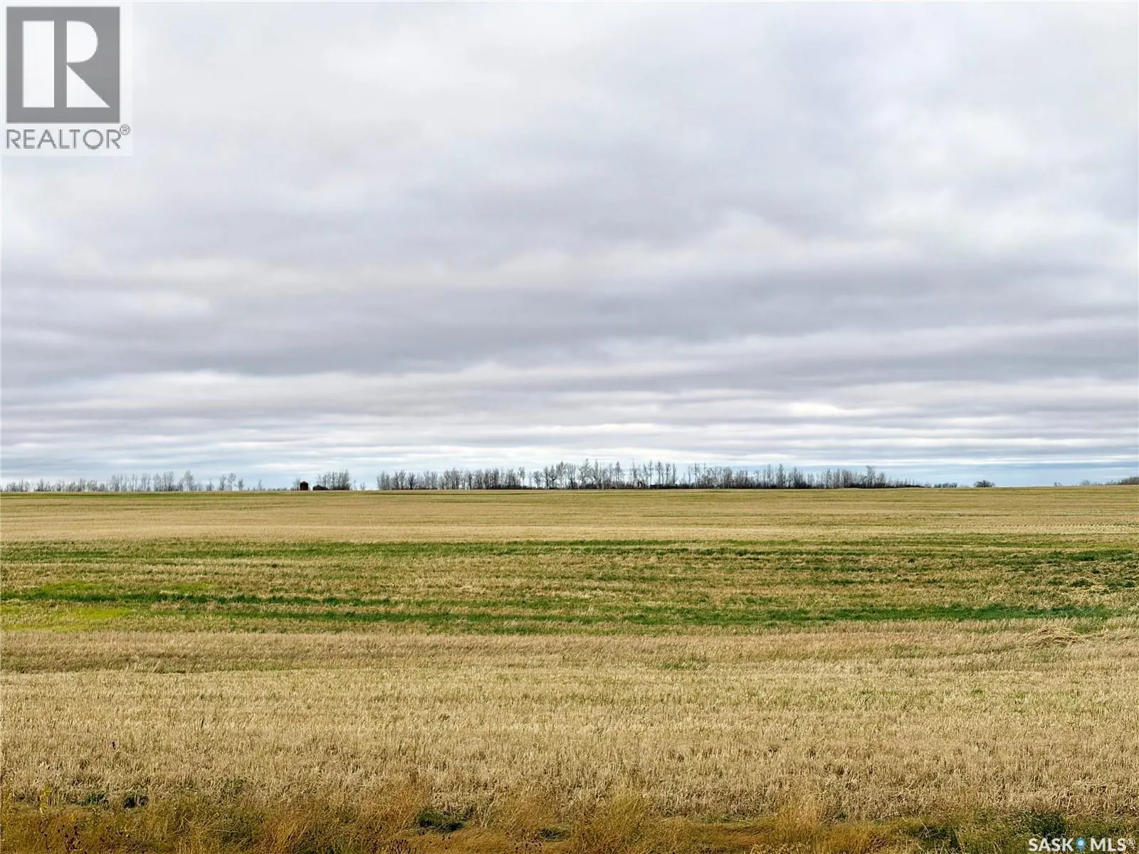Marchildon Land