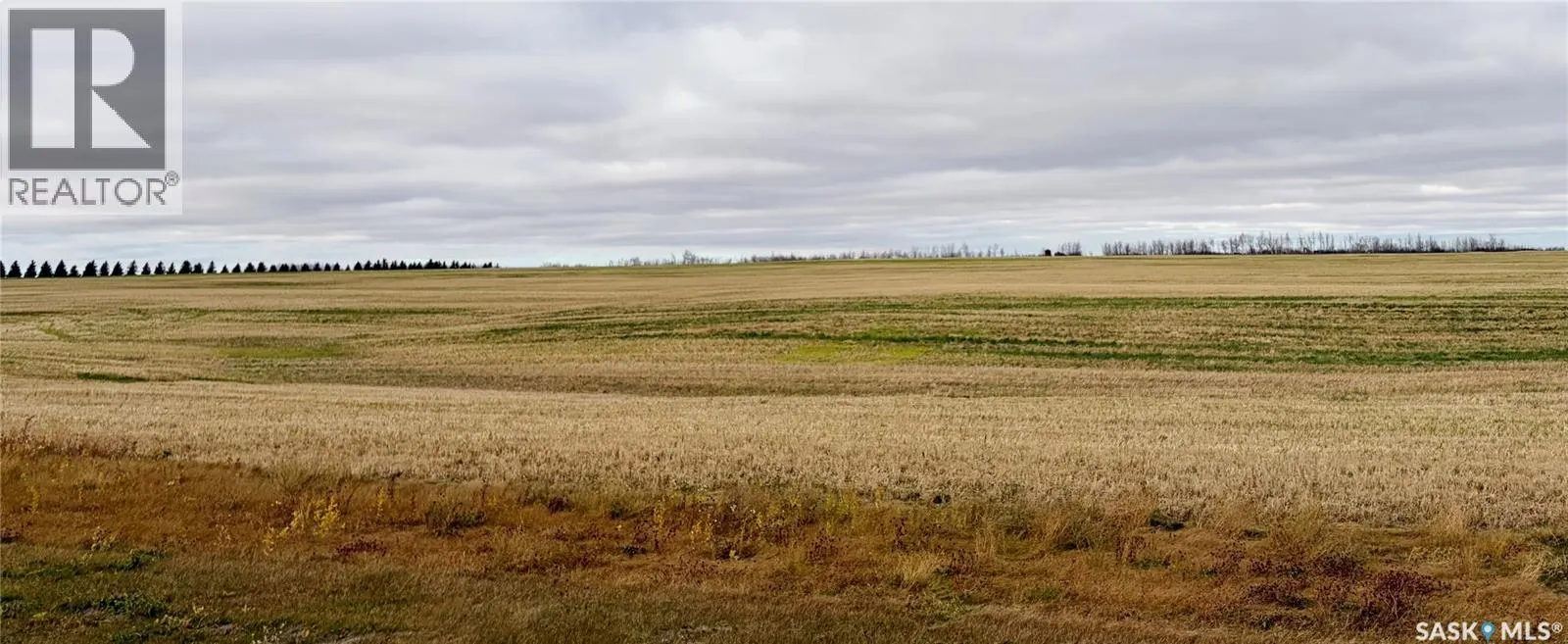 Marchildon Land