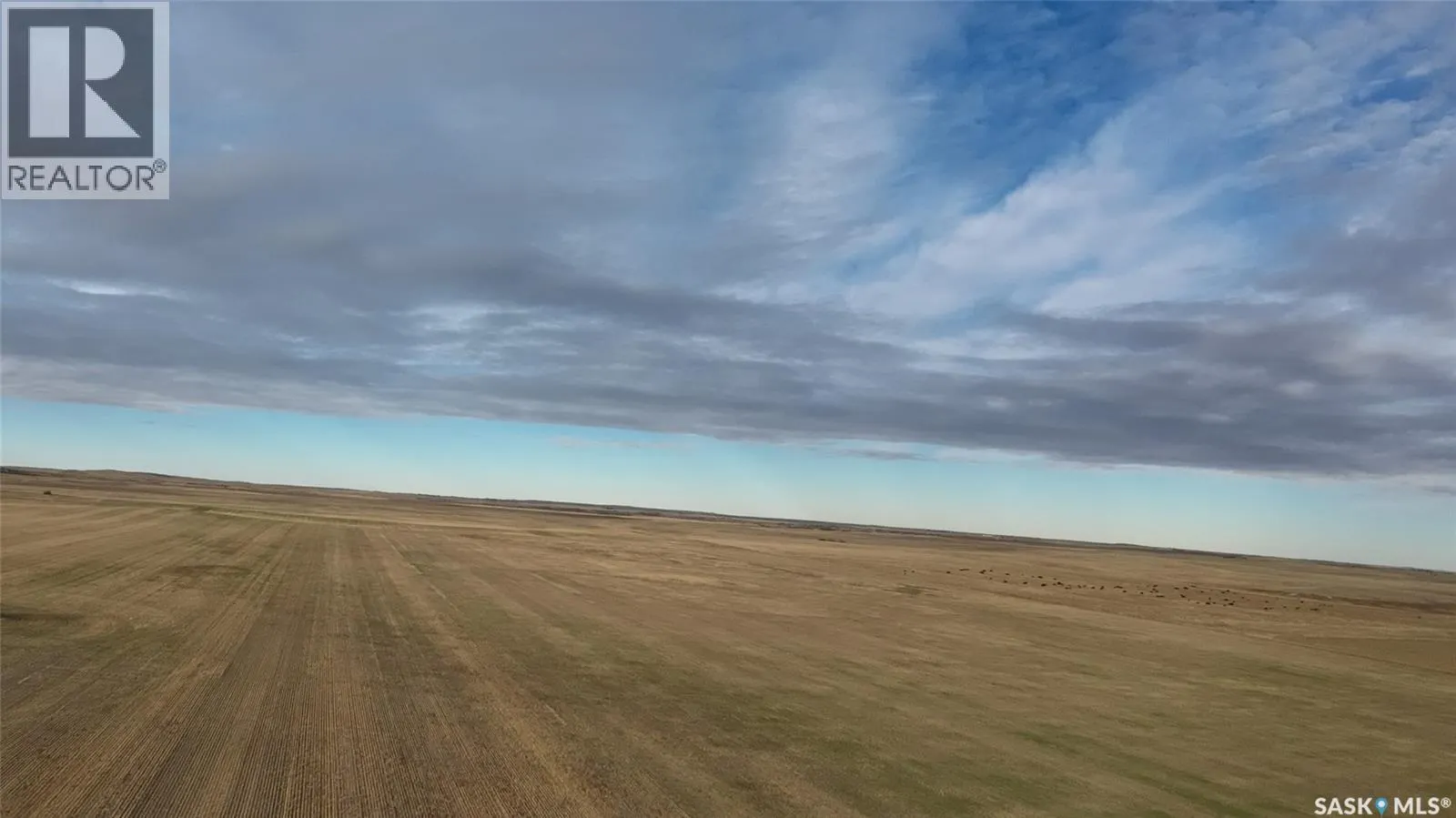 317 acres of Grain Farmland in Rm of 168 Riverside