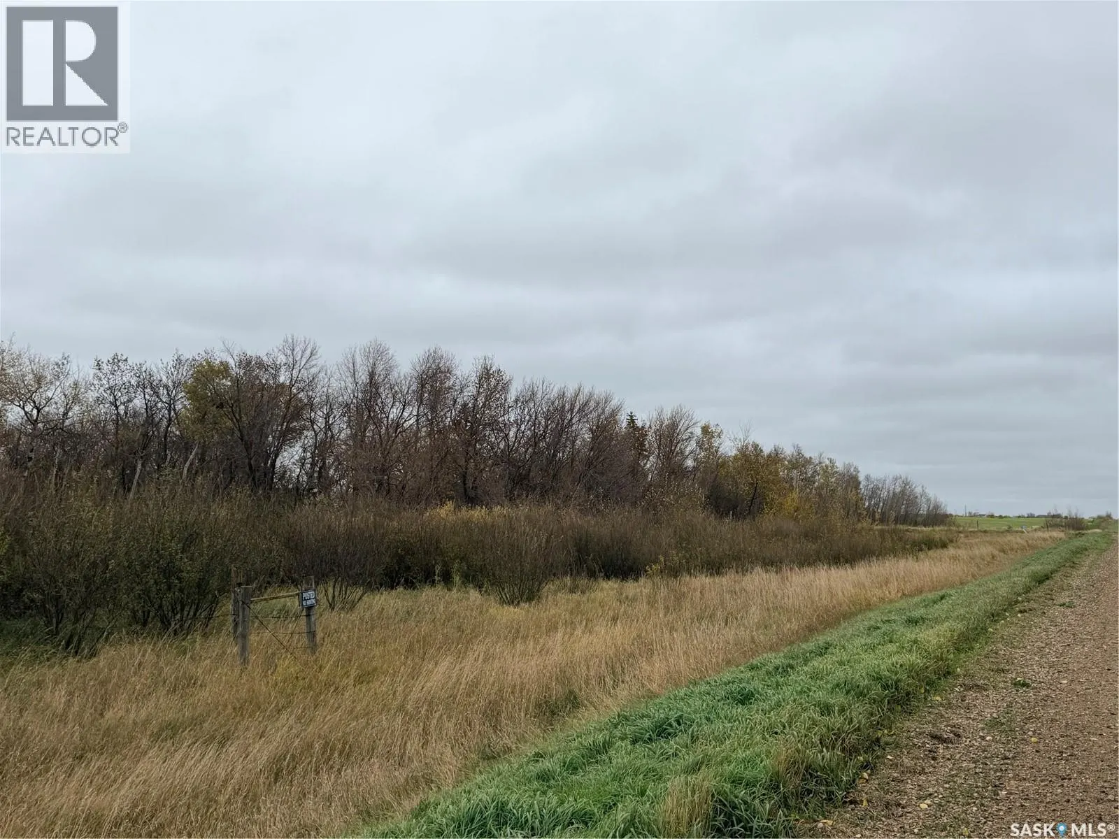 N.E Estevan 12.56 Acres