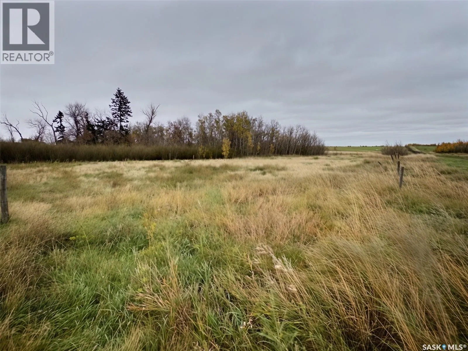 N.E Estevan 12.56 Acres