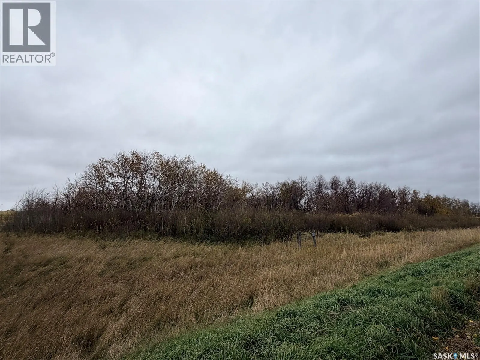 N.E Estevan 12.56 Acres