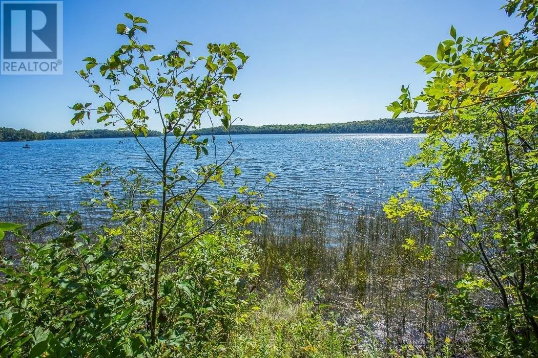 728 Basswood Lake RD