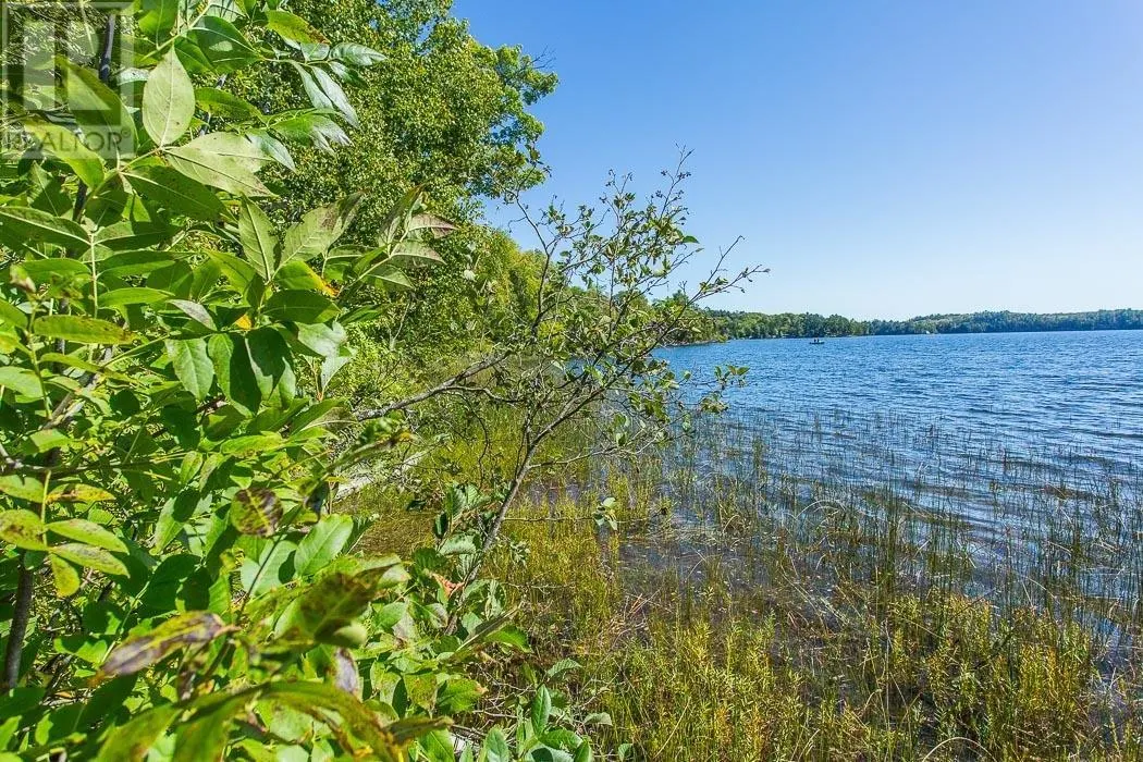 728 Basswood Lake RD