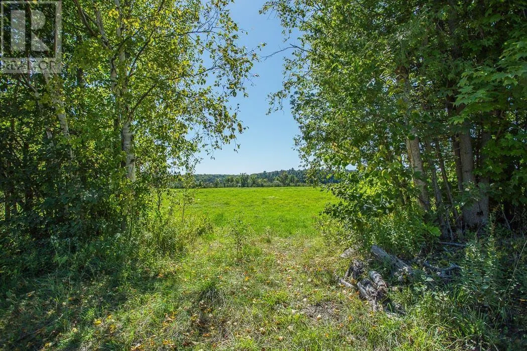 728 Basswood Lake RD