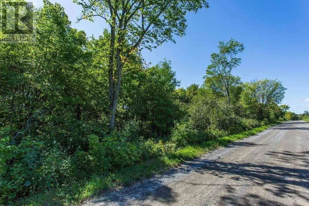 728 Basswood Lake RD
