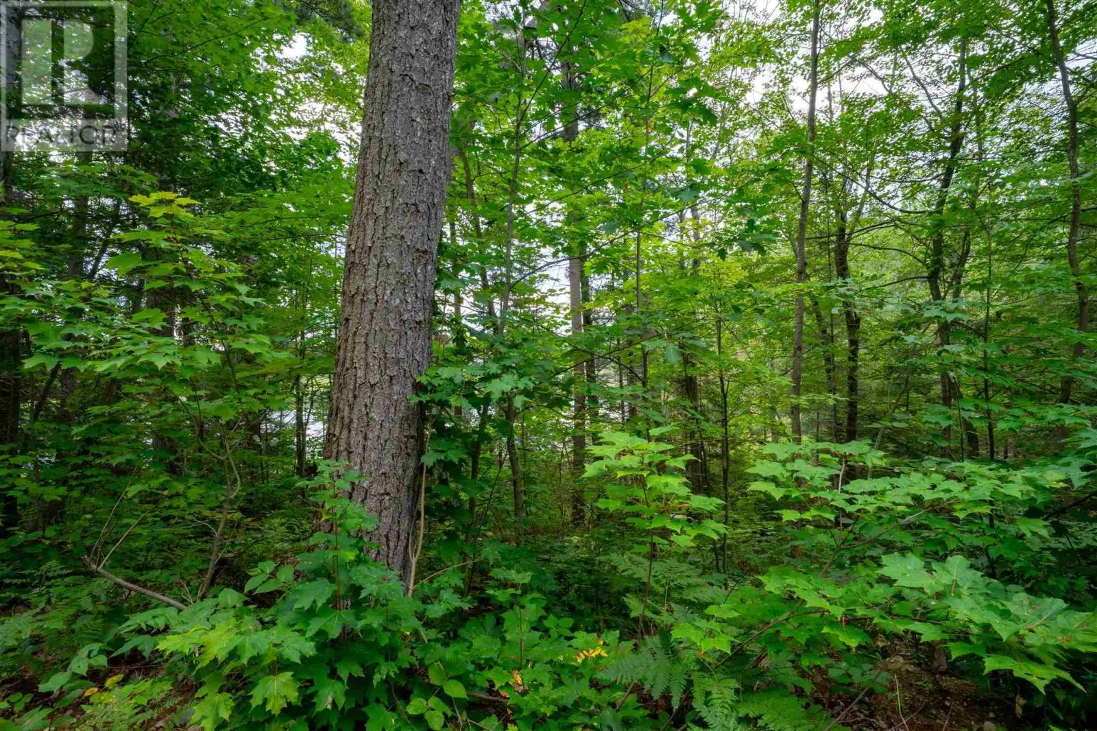 1049D Cookhouse RD