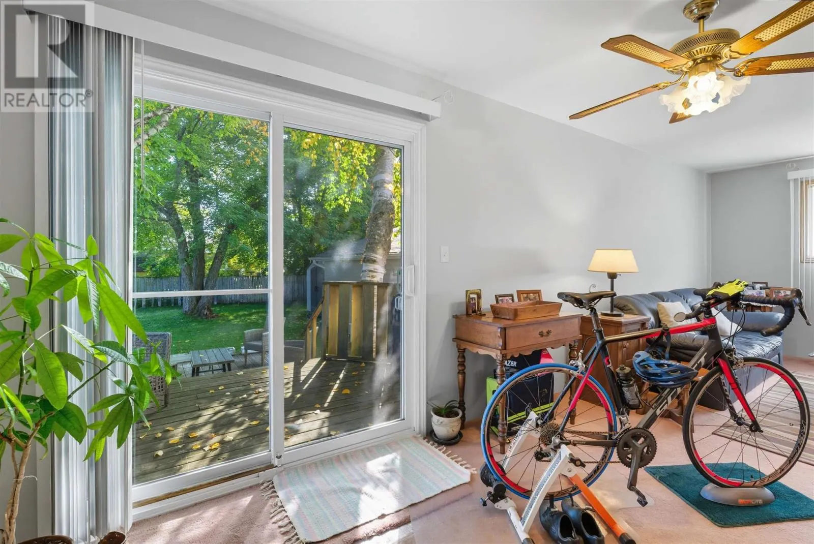 188 Shannon RD
