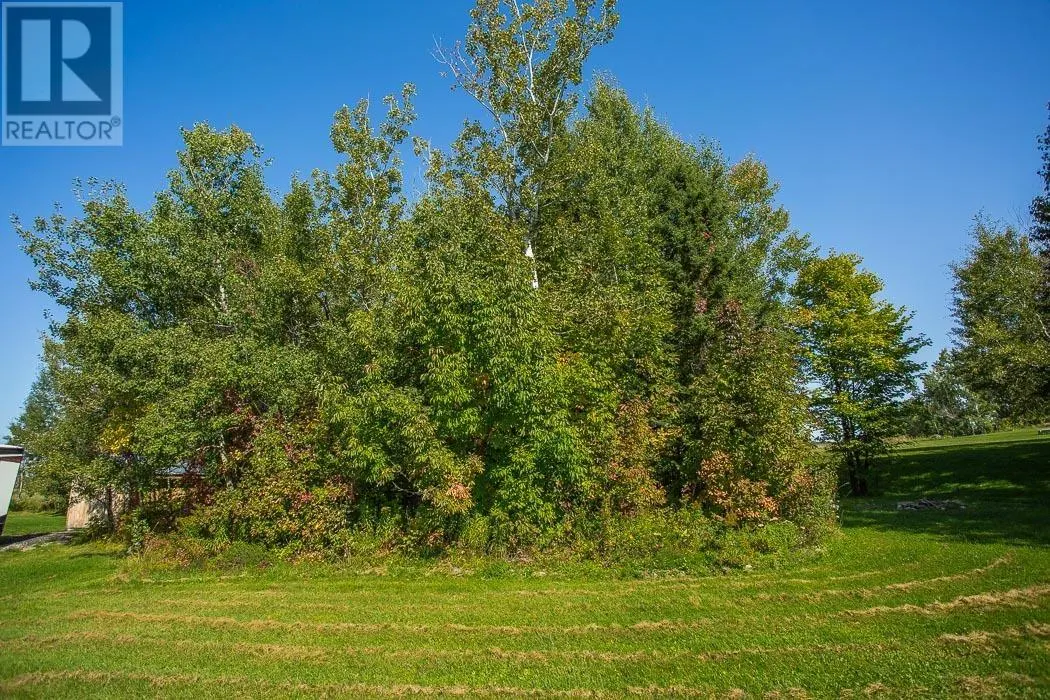 86 Birch Drive
