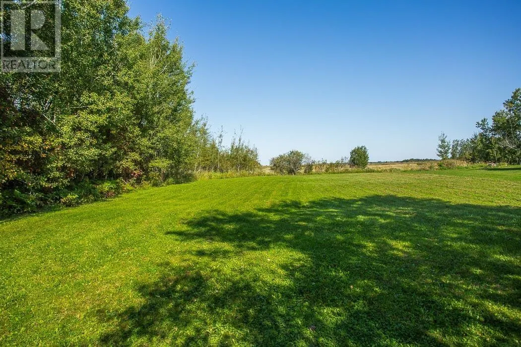 86 Birch Drive