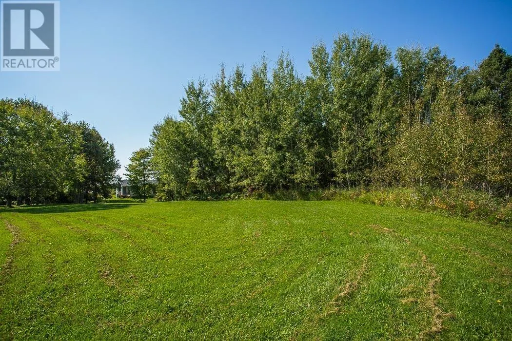 86 Birch Drive