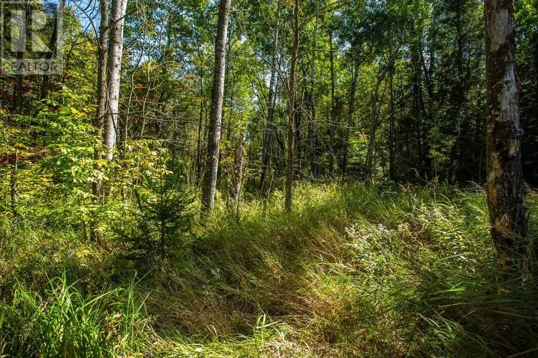 5th Concession RD