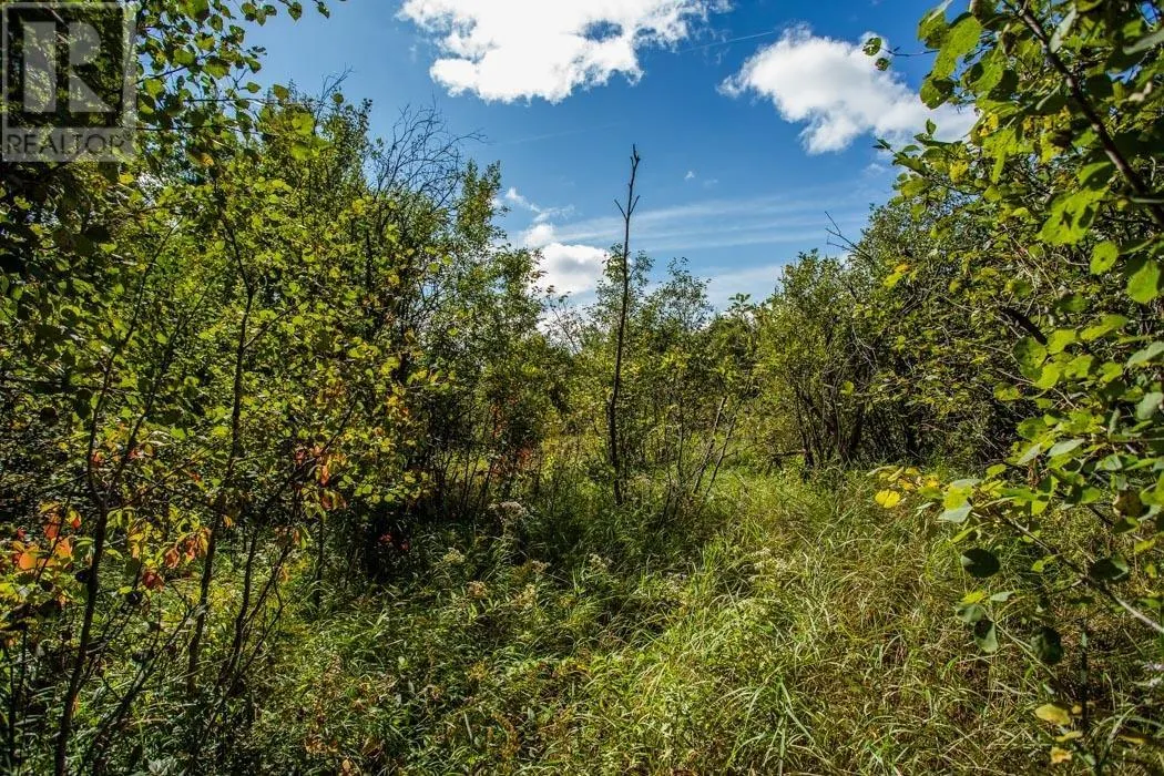 5th Concession RD