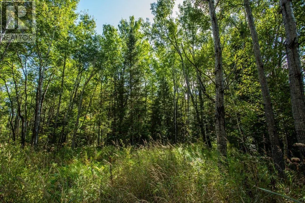 5th Concession RD