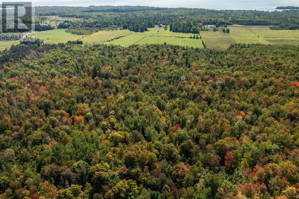 5th Concession RD