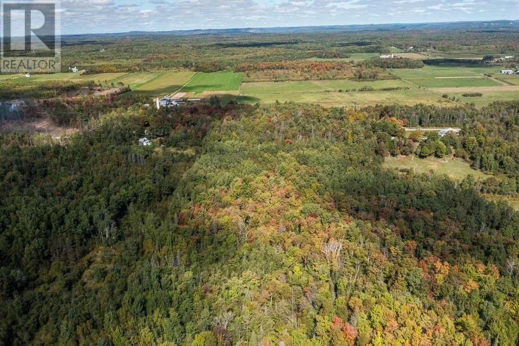 5th Concession RD