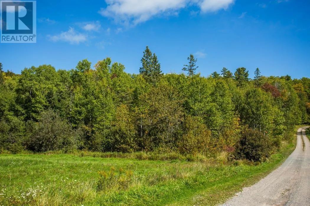 . Gordon Lake Road and Carter Side Road Part 1