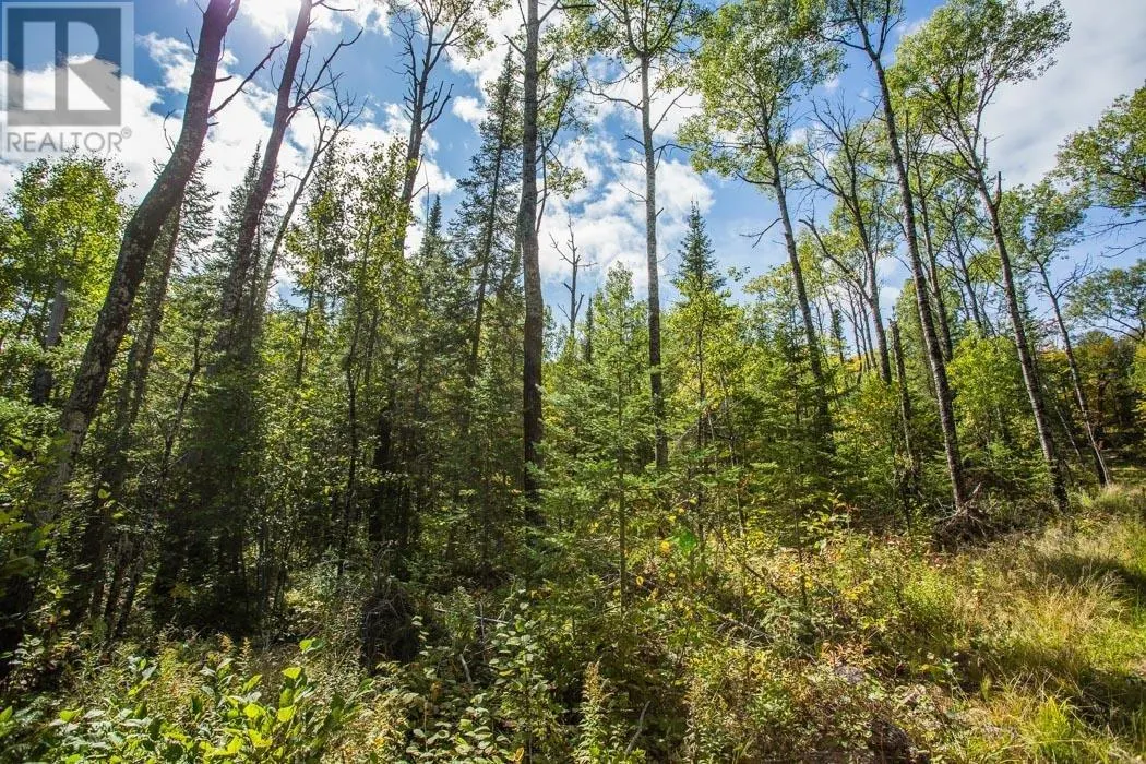 . Gordon Lake Road and Carter Side Road Part 1